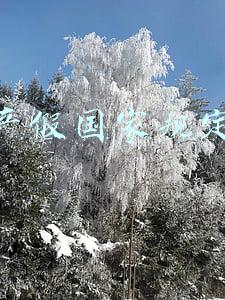 产假国家规定