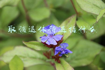取消退休待遇指什么