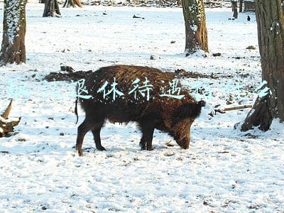 取消退休待遇指什么