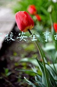 学校安全事故