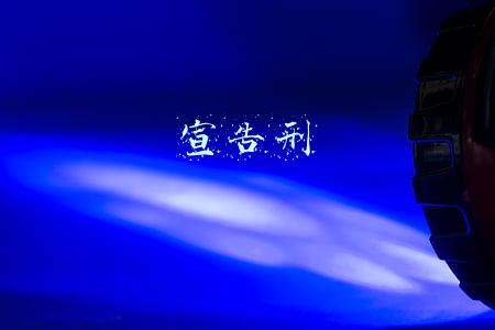 宣告刑