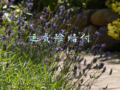 运费险赔付10元是什么意思(快件损毁怎么赔？“有言在先”很重要)