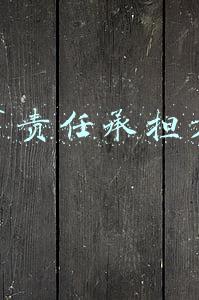 民事责任承担方式有哪些(建筑师罪与罚-设计、校对、审核、专负、项负责任如何分配​)