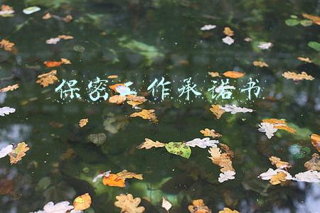 保密工作承诺书