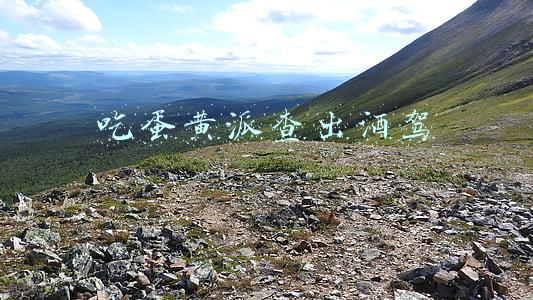 吃蛋黄派查出酒驾