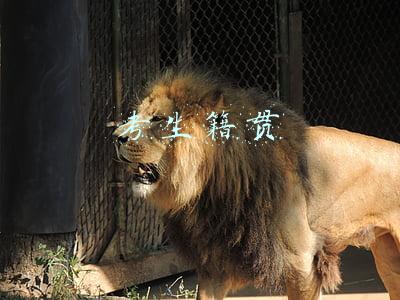 考生籍贯