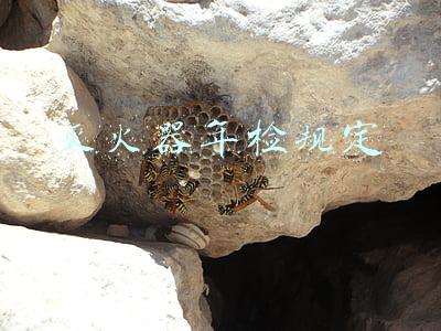 灭火器年检规定
