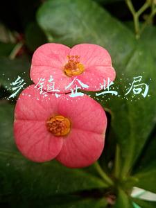 乡镇企业局