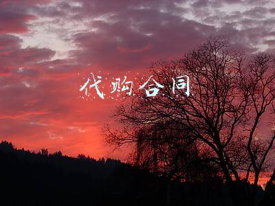 代购合同