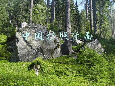 中国护照背面