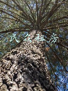 民众租房