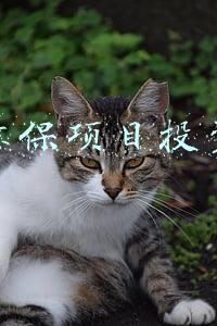 环保项目投资