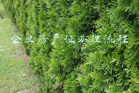 企业房产证办理流程