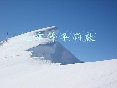 违章停车罚款