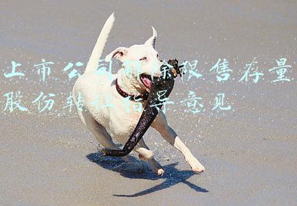 上市公司解除限售存量股份转让指导意见