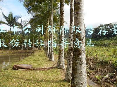 上市公司解除限售存量股份转让指导意见