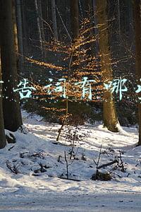 广告词有哪些?(最让人印象深刻的TOP 20广告语 你能正常念出来吗？)