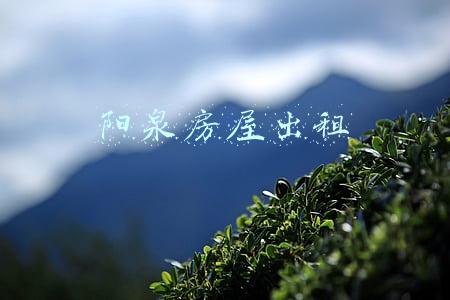 阳泉房屋出租