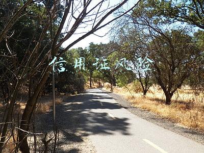 信用证风险