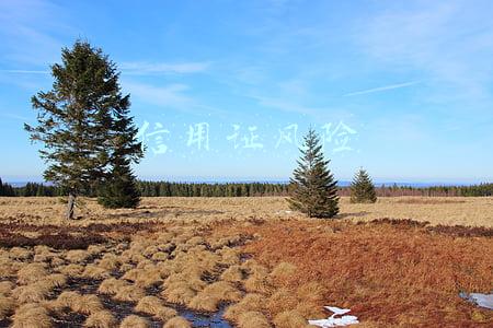 信用证风险