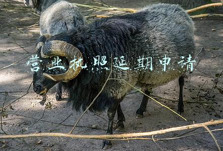 营业执照延期申请