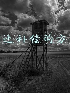 搬迁补偿的方式