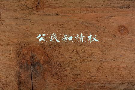 公民知情权