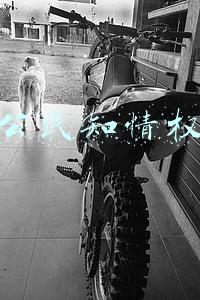 公民知情权的基本含义和政府信息公开的意义(专业拆迁律师告诉你：政府信息公开究竟有多重要？)