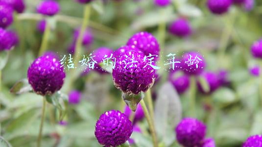 结婚的法定年龄