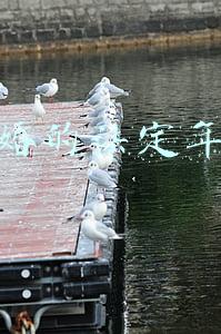 结婚的法定年龄