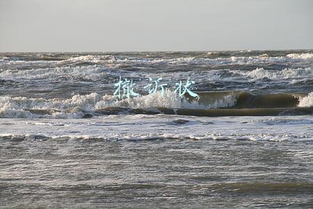 撤诉状