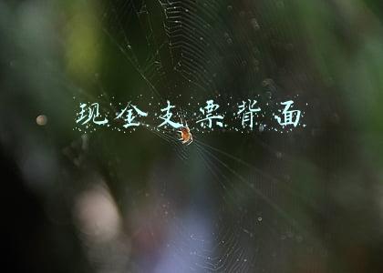 现金支票背面