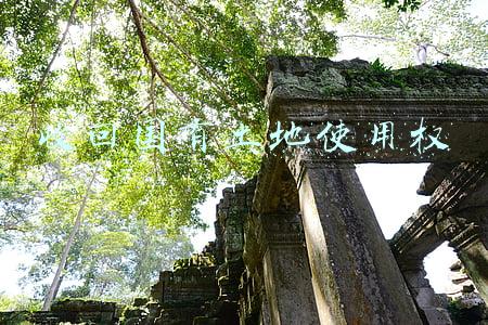收回国有土地使用权
