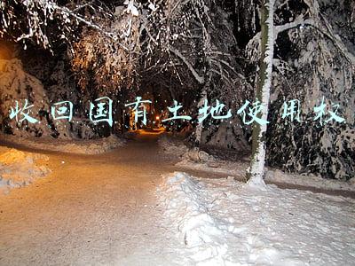 收回国有土地使用权