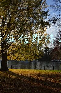 最严征信即将上线
