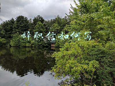 辞职信如何写