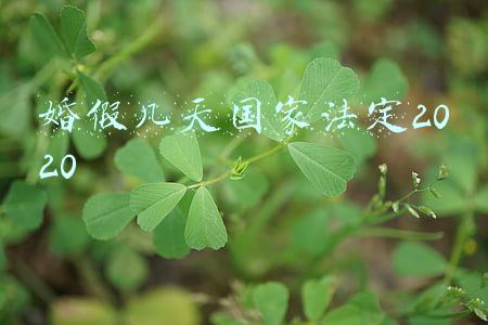 婚假几天国家法定2020