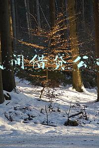 民间借贷公司