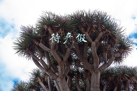 待产假