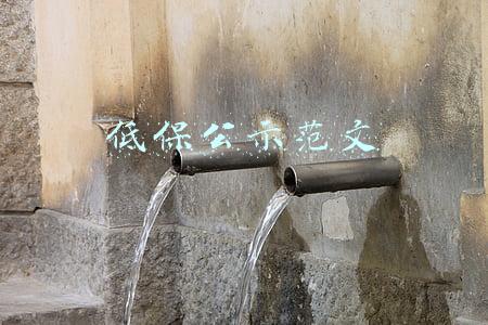 低保公示范文