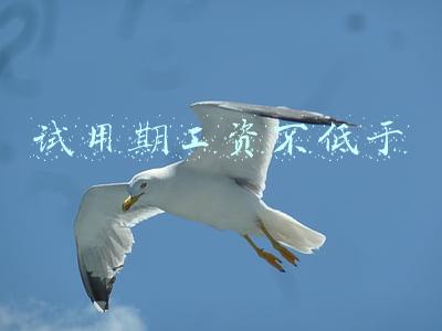 试用期工资不低于最低工资标准(职工试用期，单位不能“太任性”！法律对最低工资和试用期时长均有规定)
