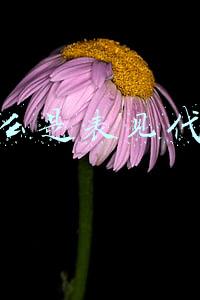 什么是表见代理?表见代理的法律后果是怎样的(表见代理的法律后果-温泉酒店篇)