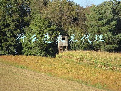 什么是表见代理
