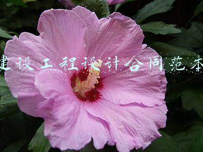 建设工程设计合同范本
