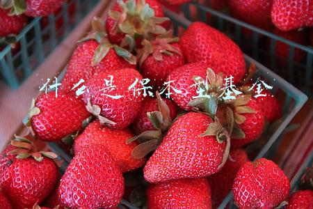 什么是保本型基金