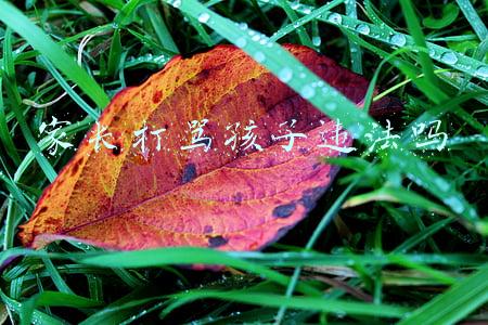 家长打孩子骂孩子算犯法吗(打骂孩子算是家庭暴力吗？打小孩什么程度算家暴？)