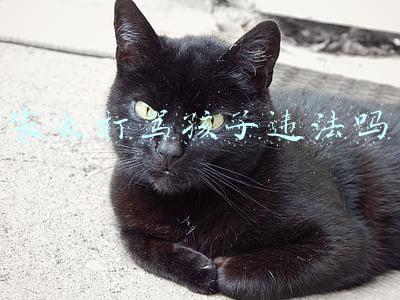 家长打骂孩子违法吗
