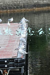 催款函怎么写