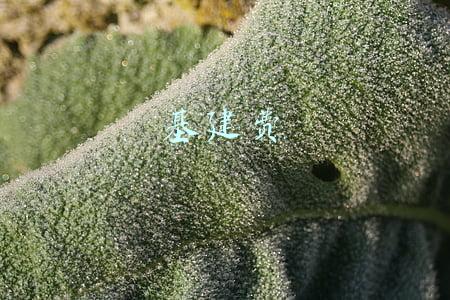 基建费和燃油费多少钱(800公里以上120元！燃油附加费破百元后再度上涨)