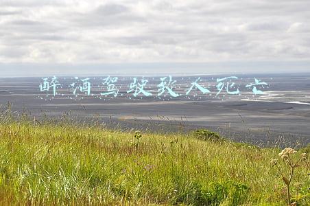 醉酒驾驶致人死亡